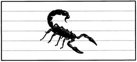Drawing: Scorpion