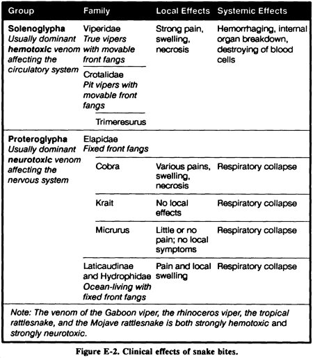 Table of info