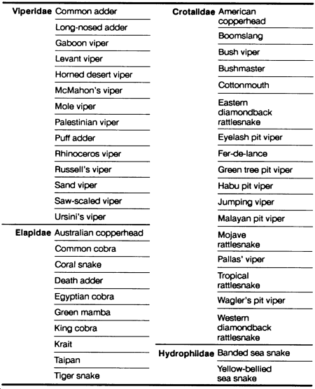 Snake Venom Toxicity Chart