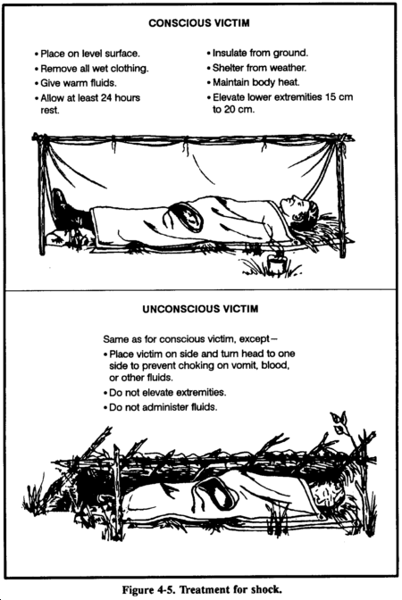 Figure 4-5. Treatment for shock