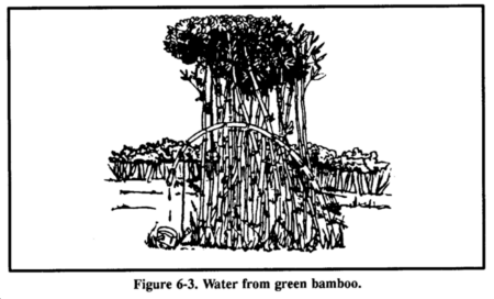 Drawing: Water from green bamboo