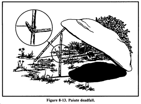Drawing: Figure 8-13. Paiute deadfall