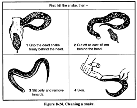 Drawing: Figure 8-24. Cleaning a snake