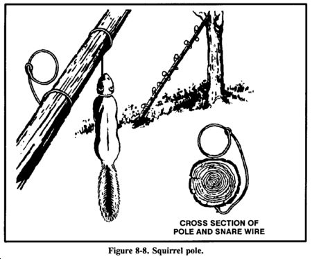 Drawing: Figure 8-8 Squirrel pole