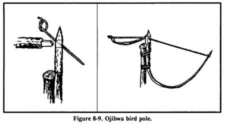 Drawing: Figure 8-9 Ojibwa bird pole