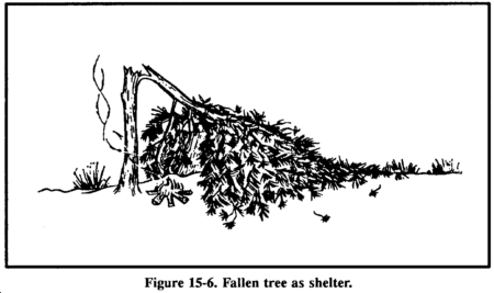 Drawing: Figure 15-6 Fallen tree as shelter.