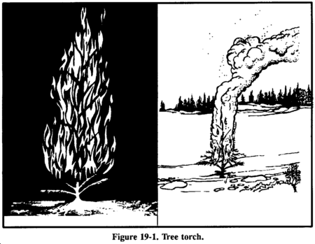 Drawing: Figure 19-1. Tree torch.