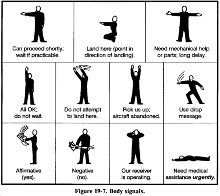 Drawing: Figure 19-7. Body signals.